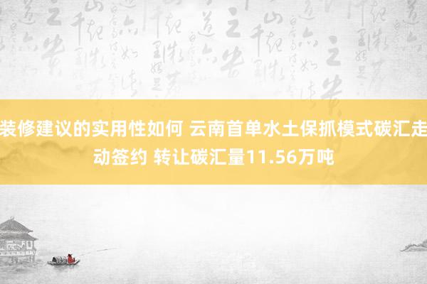 装修建议的实用性如何 云南首单水土保抓模式碳汇走动签约 转让碳汇量11.56万吨