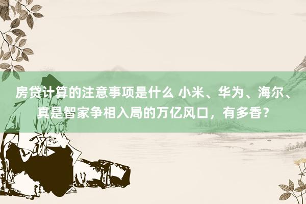 房贷计算的注意事项是什么 小米、华为、海尔、真是智家争相入局的万亿风口，有多香？