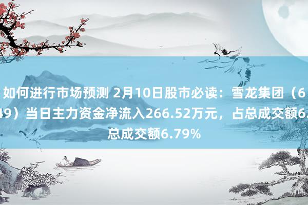 如何进行市场预测 2月10日股市必读：雪龙集团（603949）当日主力资金净流入266.52万元，占总成交额6.79%