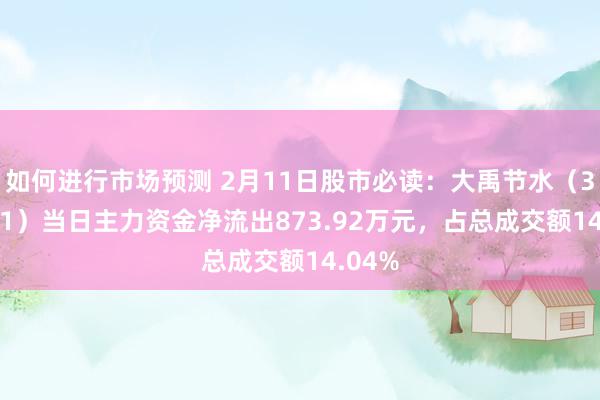 如何进行市场预测 2月11日股市必读：大禹节水（300021）当日主力资金净流出873.92万元，占总成交额14.04%